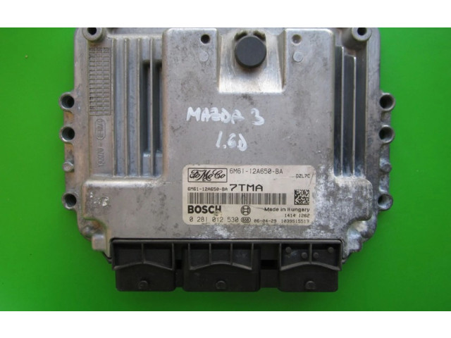 Řídící jednotka 6M61-12A650-BA, 0281012530   Mazda 3 I 2006