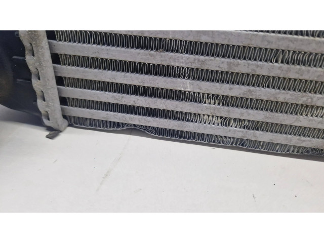 Интеркулер  1751850690402, X4446002   Mini Cooper Countryman R60 1.6