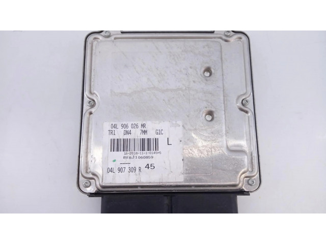 Блок управления двигателя 04L907309R, 0281031066   Audi A3 S3 8V