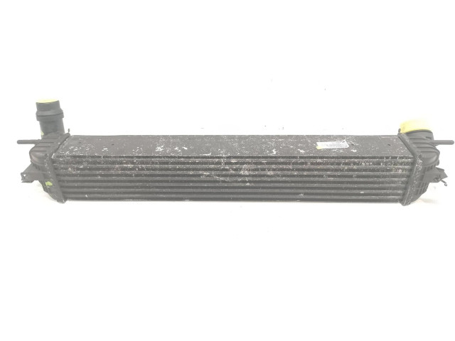 Интеркулер  144610001N   Renault Laguna III 