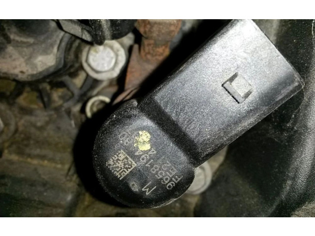 Vstřikovač 9658194480, 9658194480   Peugeot 407    DW10BTED4(RHR) 