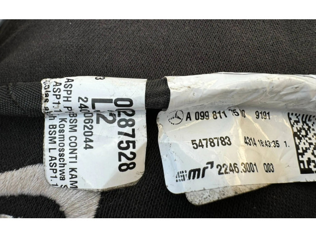 Zpětné zrcátko  Mercedes-Benz A W177 2018  A0998117500  