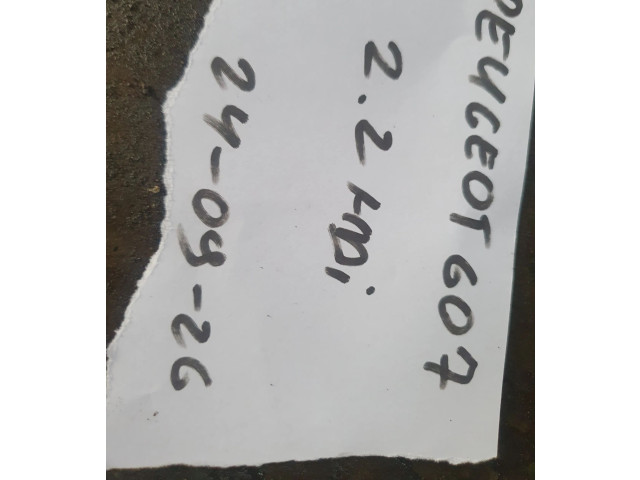 Zpětné zrcátko  Peugeot 607 2004  0445214017, 008813  
