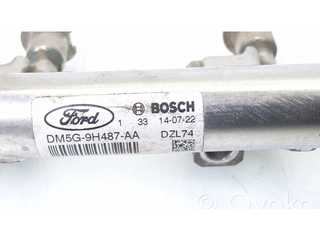 Топливная рампа DM5G9H487AA, 0261555137   Ford Fiesta 1.0 