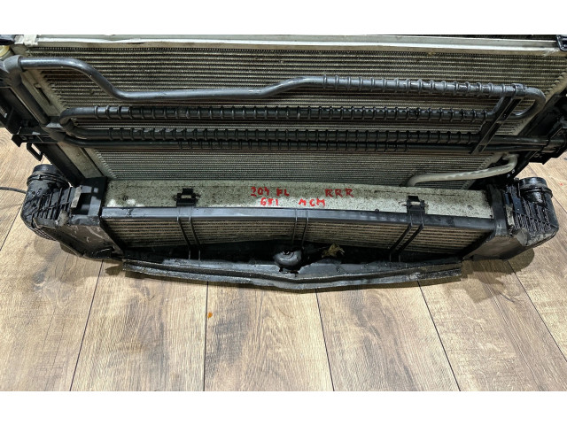 Комплект радиатора 67167, 048222   Mercedes-Benz C W204    