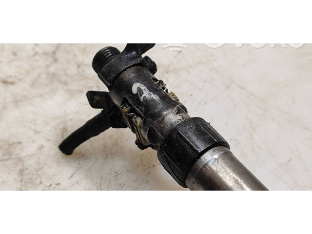 Жиклер (жиклеры) (форсунка (форсунки) 9686191080, 1608902180   Ford  S-MAX  2006 - 2015 года
