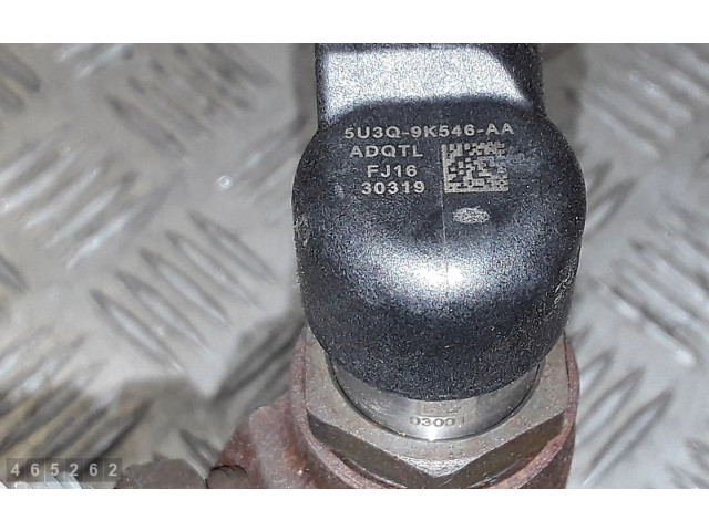 Vstřikovač 5U3Q9K546AA   Citroen C6     