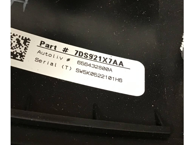 Volant Dodge RAM 2022 68379834AB, 641038104G  