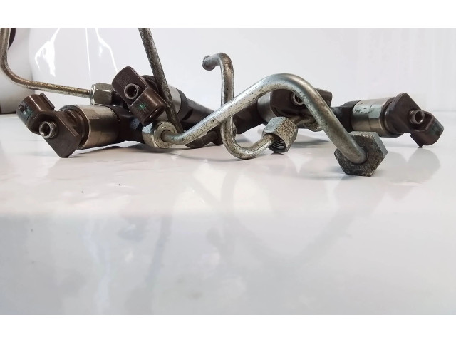 Комплект форсунок 55570012, 5570012    Opel Meriva B   