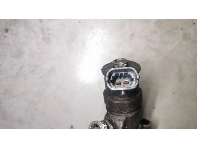 Vstřikovač 0445110311, 620033   Citroen C3  pro naftový motor 1.6  