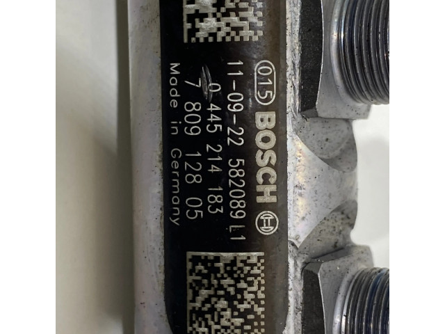 Vstřikovací lišta 0281002949, 0281002948   BMW 5 F10 F11  pro naftový motor 2.0  