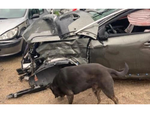 Jednotka ABS 1623161680   Peugeot 3008 II 2016