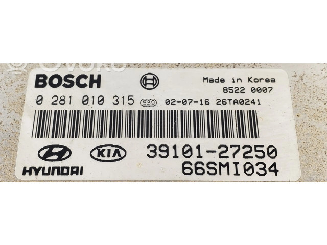 Řídící jednotka 0281010315, 3910127250   Hyundai Santa Fe 2000