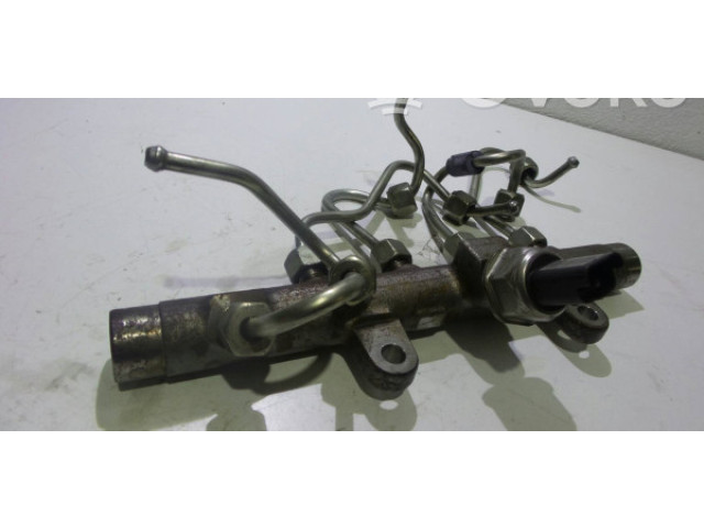 Vstřikovací lišta 8200704212   Renault Megane III     