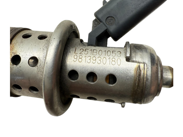 Vstřikovač 9813930180, 251B01053   Citroen Berlingo    DV5RC 