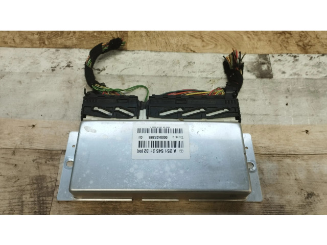 Блок управления A2515452132, 00004253B5   Mercedes-Benz R AMG W251