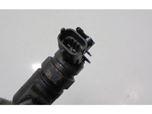 Форсунка 0445110135, 0445110135    Alpine C2  8HX 