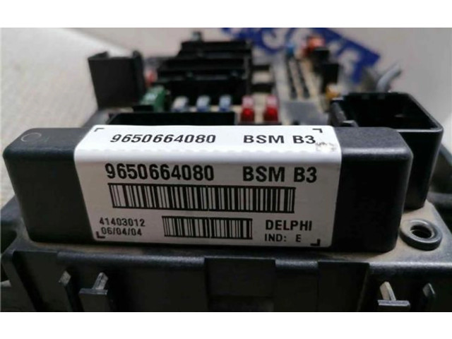   Pojistková skříňka BSMB3, 9650664080   Peugeot 307 2004