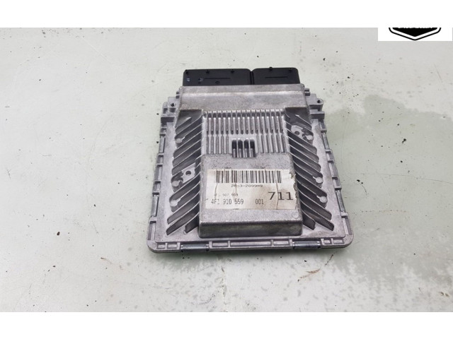 Řídící jednotka 4F1910559RX, 4F1907559   Audi A6 S6 C6 4F 2004