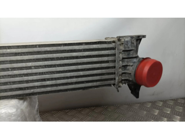 Интеркулер  53144431, DF630001   Citroen Jumper 