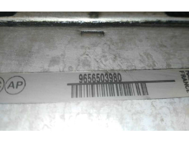 Vstřikovač 9656503980   Citroen C4 I     