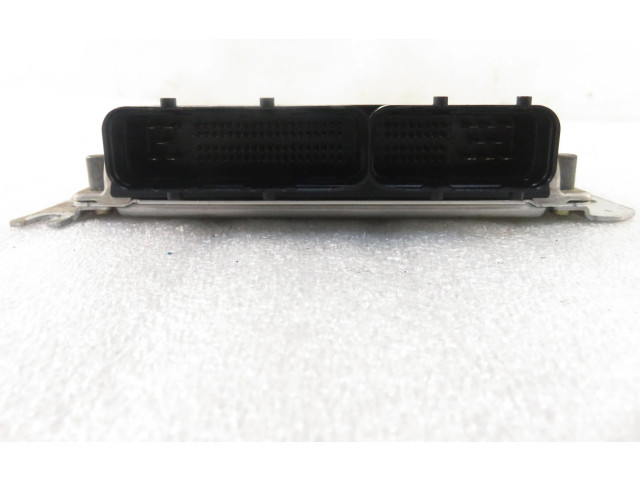 Řídící jednotka 3910127250, 0281010315   Hyundai Santa Fe 2001