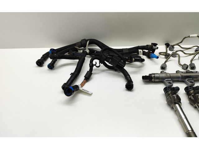 Комплект системы впрыска топлива 0445010768, 8514148    BMW 5 G30 G31  2.00 l / 140 kW (B47O) 