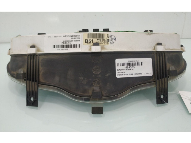 Přístrojová deska  Hyundai Santa Fe 2001 69801080  