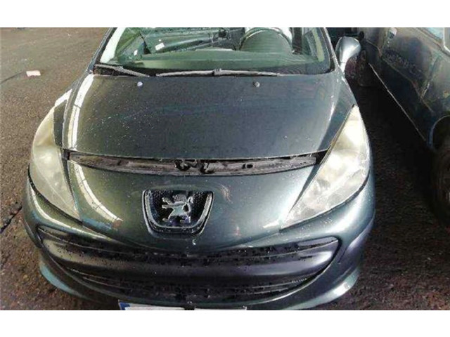   Pojistková skříňka 9663798280, 9663798280   Peugeot 207 2007