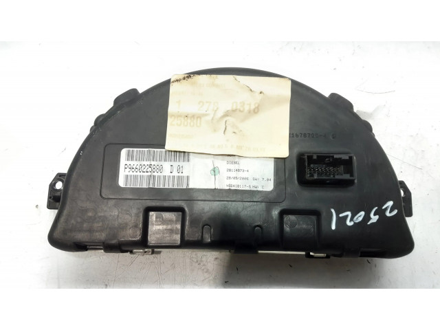 Панель 9660225880   Citroen C3       