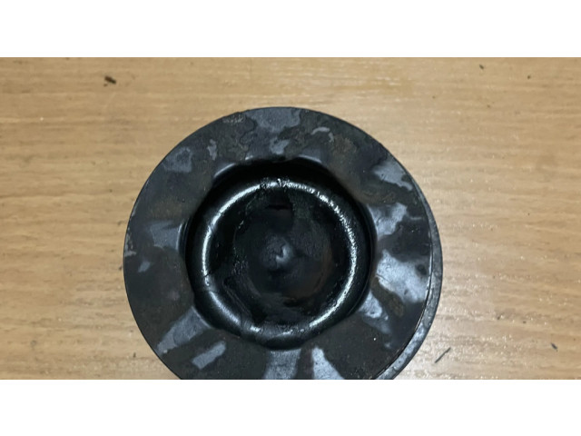 Píst 1612731880, 1609067980   Citroen Jumper  pro naftový motor 2.0  