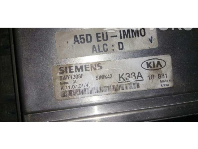 Řídící jednotka 5WY1308F   KIA Rio 2001