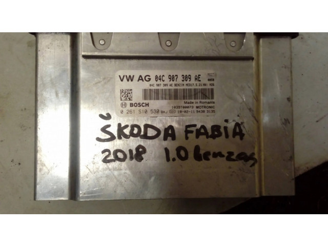 Блок управления двигателя 04C907309   Skoda Fabia Mk3 (NJ)