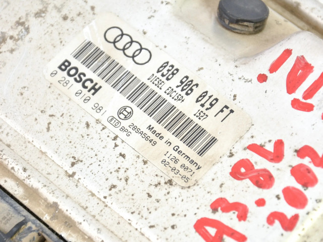 Блок управления двигателем Блок управления 038906019FT, 0281010981   Audi A3 S3 8L