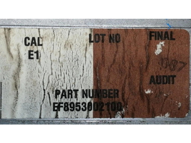 Řídící jednotka EF8953002100, S100801203   Jeep Cherokee 1991