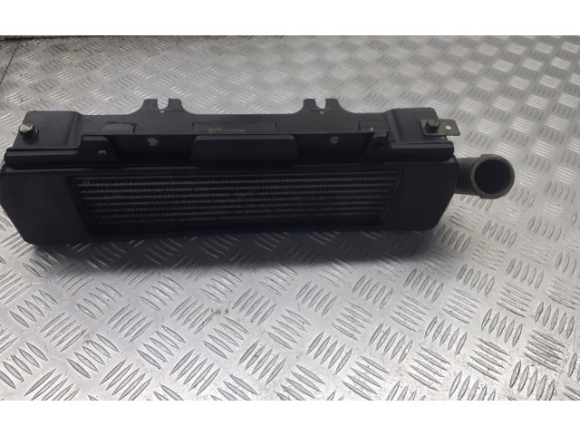 Интеркулер  279714600102   Tata Indica Vista II 