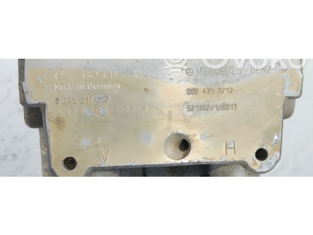 Jednotka ABS 0265217807   Mrcedes-Benz E W210 1999