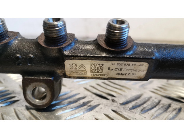 Vstřikovací lišta 28497Z01   Ford Ecosport  pro naftový motor 1.5  