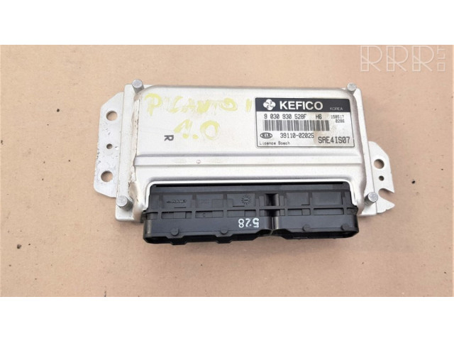 Блок управления двигателя 3911002025   KIA Picanto