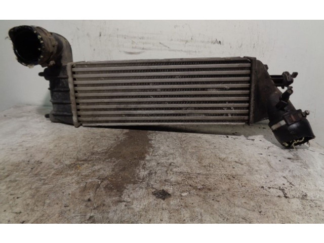 Интеркулер  1489396080, 870229HF   Lancia Phedra 