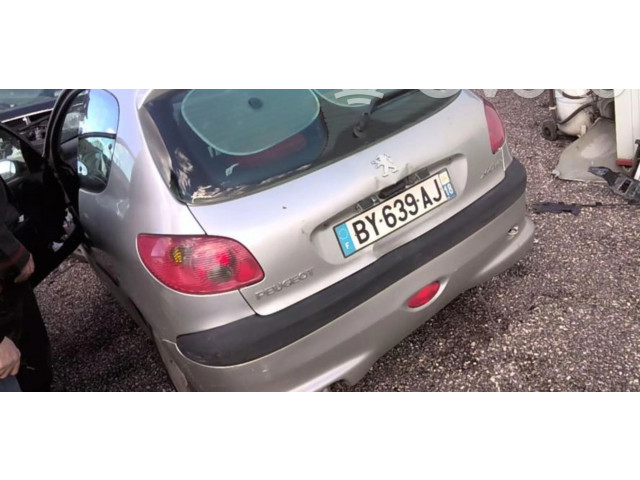 Масляный насос  DV4TD(8HX) 1001F2, 1001F2  Peugeot 206 