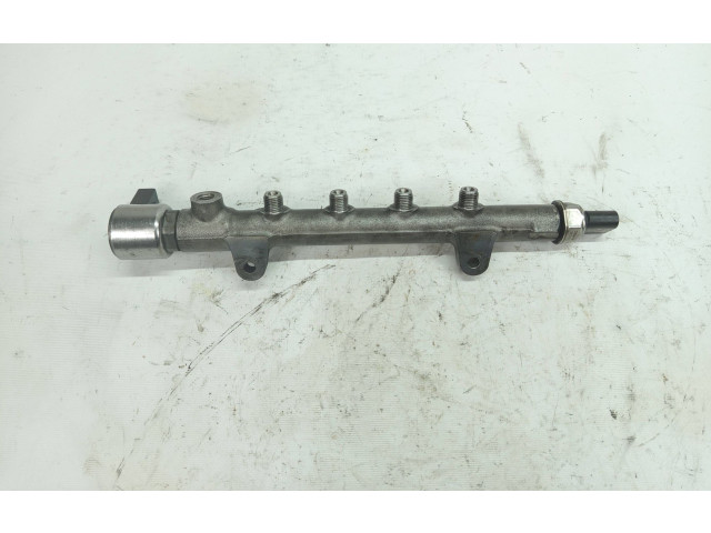 Vstřikovací lišta A6510700495, 1208640849   Mercedes-Benz E W212     
