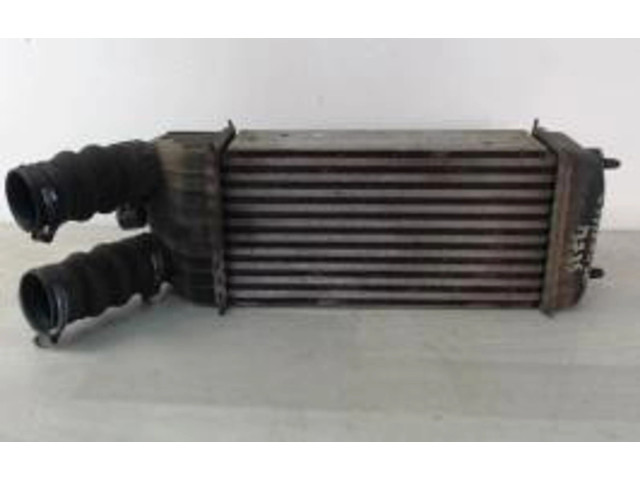 Vstřikovač 00000384N1, 00000384N1   Citroen C3 Picasso    DV6ATED4(9HX) 