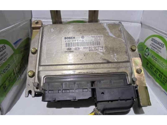 Řídící jednotka 3910127510, 028010619   Hyundai Accent 2002