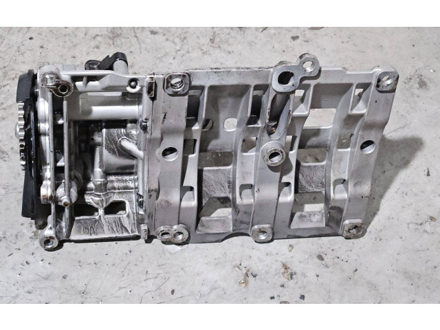 Čerpadlo oleje 8518405, 724808290   BMW X3 F25   N47D20C