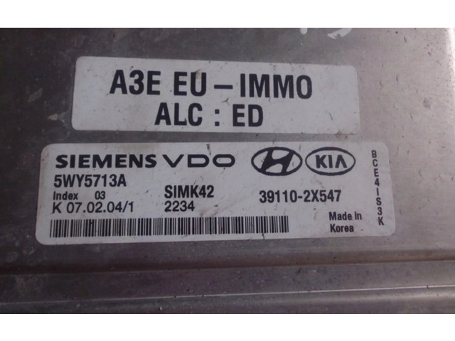 Řídící jednotka 5WY5713A   KIA Rio 2004