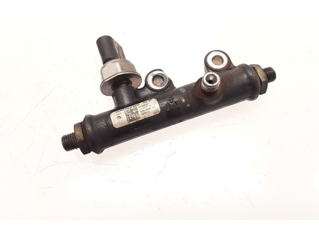 Vstřikovač 4R8Q9C066AE, 4R8Q9C066   Citroen C6    UHZ 