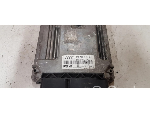 Блок управления двигателя 03G906016DT, 0281011892   Audi A3 S3 8P