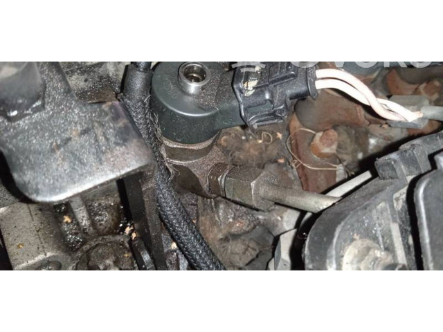 Vstřikovač 0445110008, 9635196580   Peugeot 406     