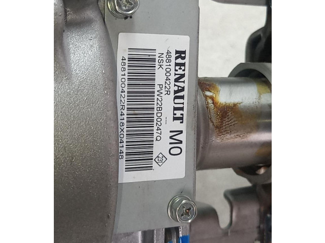 Volant Renault Megane II 2018 488100422R  